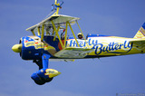 Utterly Butterly Wingwalker Plane In Flight T2E0768